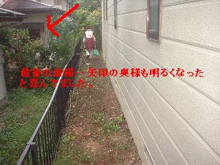 植木伐採 & 修理作業_f0031037_22284854.jpg