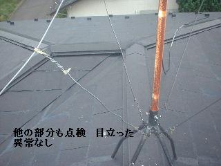 植木伐採 & 修理作業_f0031037_22381566.jpg
