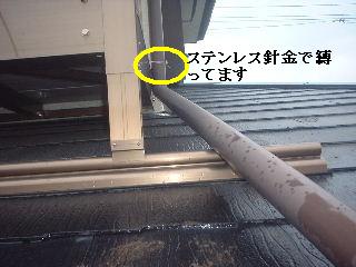 植木伐採 & 修理作業_f0031037_2239199.jpg