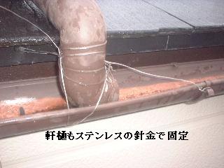 植木伐採 & 修理作業_f0031037_2239314.jpg