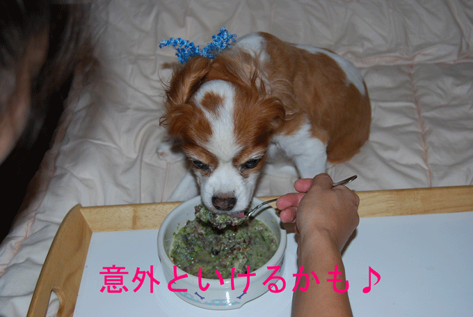 c0136838_2122718.gif
