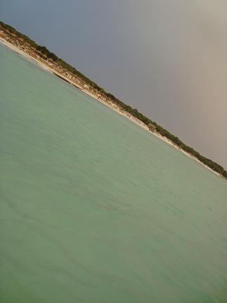 e0120938_305550.jpg