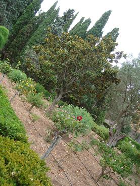 e0120938_853137.jpg
