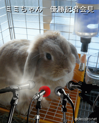 c0151439_16475561.gif