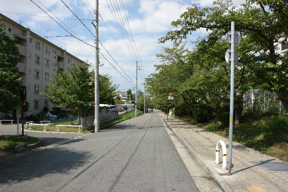 b0088444_2240879.jpg