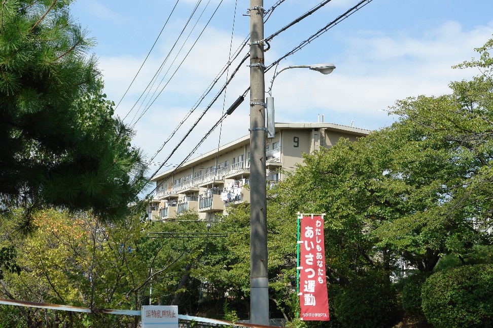 b0088444_2246052.jpg