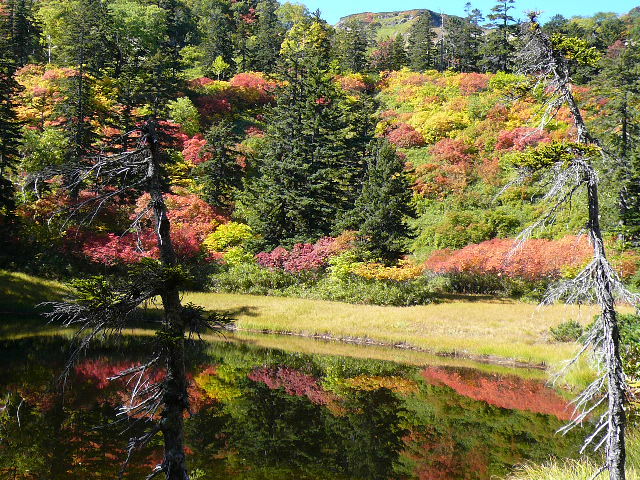 ０９大雪紅葉ダイジェスト_c0110550_23313795.jpg