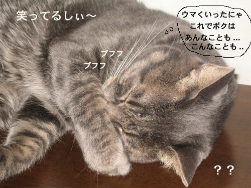e0057361_14411.jpg