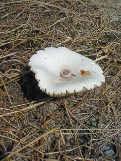 f0180166_19215896.jpg