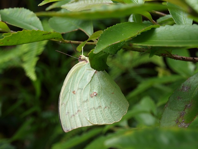 b0135573_15334111.jpg