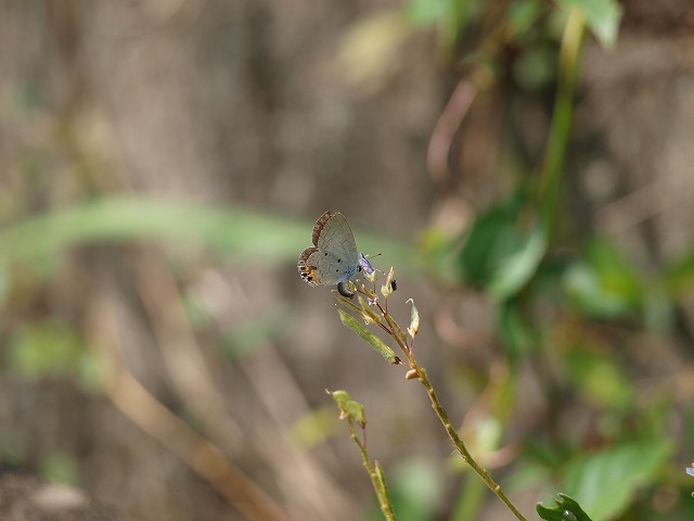 b0135573_21144473.jpg