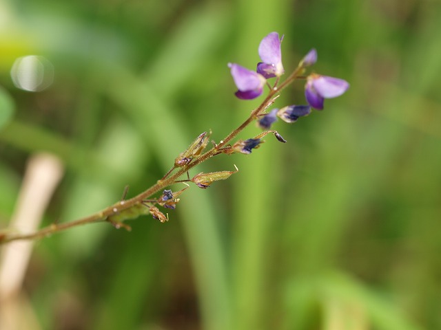 b0135573_2115655.jpg