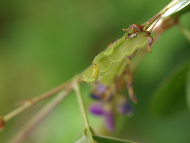 b0135573_21162023.jpg