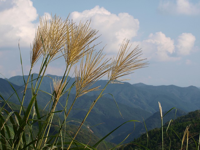 b0135573_21203062.jpg