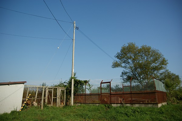c0109780_9271112.jpg