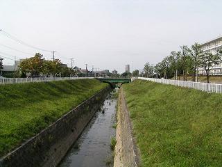 f0078286_213647100.jpg