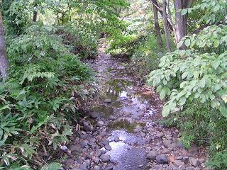f0078286_21375812.jpg