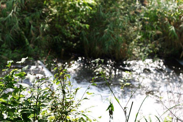 f0166288_1331026.jpg