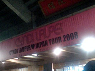 シンディー・ローパーJAPAN TOUR 2008_b0131590_12131634.jpg