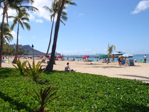 WAIKIKI　BEACH_b0139906_6512069.jpg