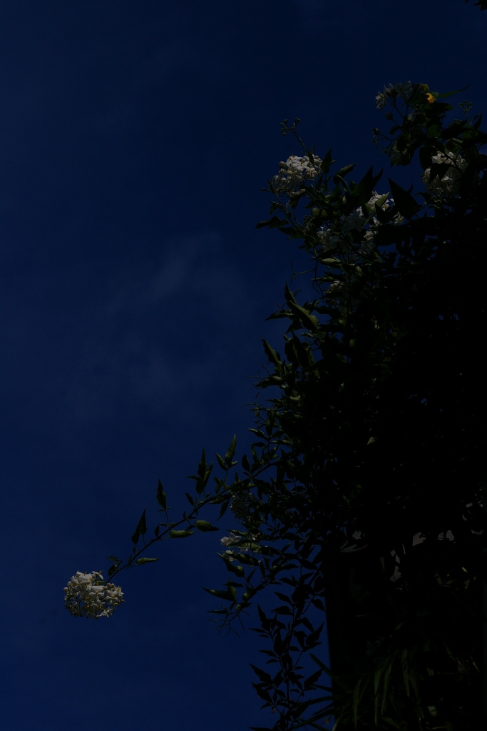 アメリカの夜_b0148617_6353326.jpg