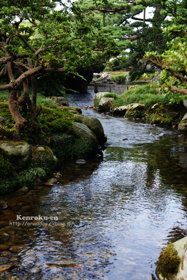 兼六園　Kenroku-en_e0146919_13233621.jpg