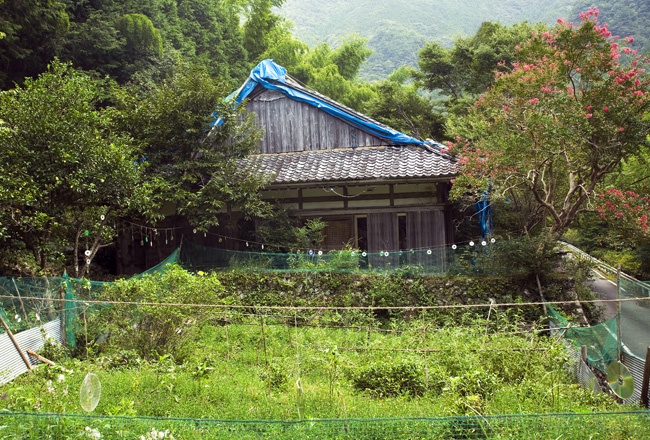 d0147530_51826.jpg