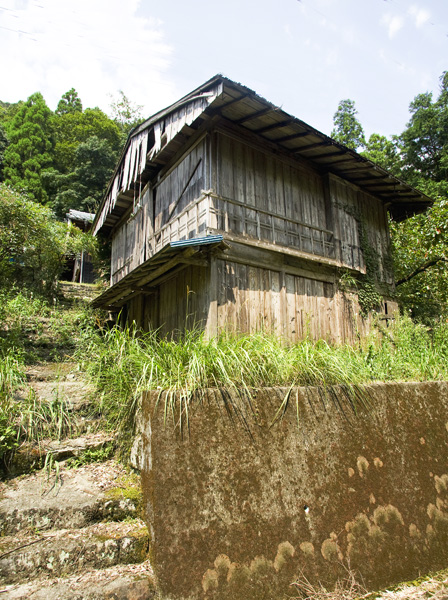 d0147530_5182952.jpg
