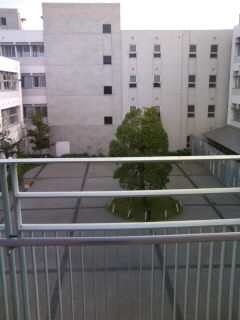 a0066538_041210.jpg