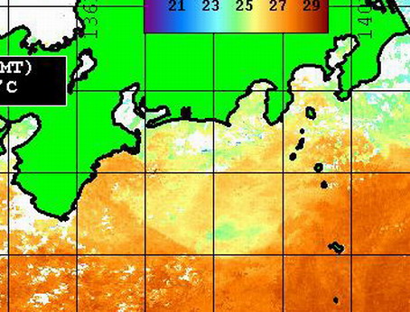 下田沖に南からの潮が入って、ヒョータンにカジキのプール？ [カジキ マグロ トローリング]_f0009039_9354044.jpg