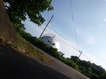 d0137443_22228.jpg