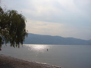 f0041447_146301.jpg