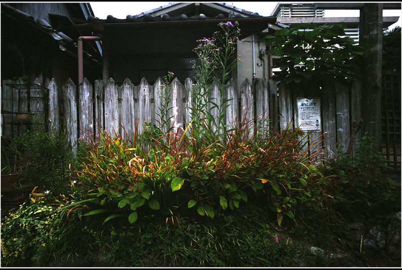 c0168172_21103574.jpg