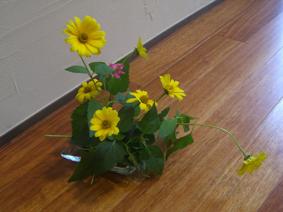 b0154874_425696.jpg
