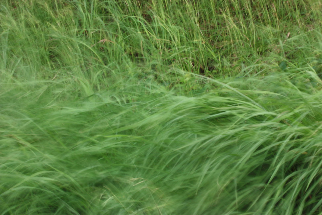 b0093678_21354130.jpg