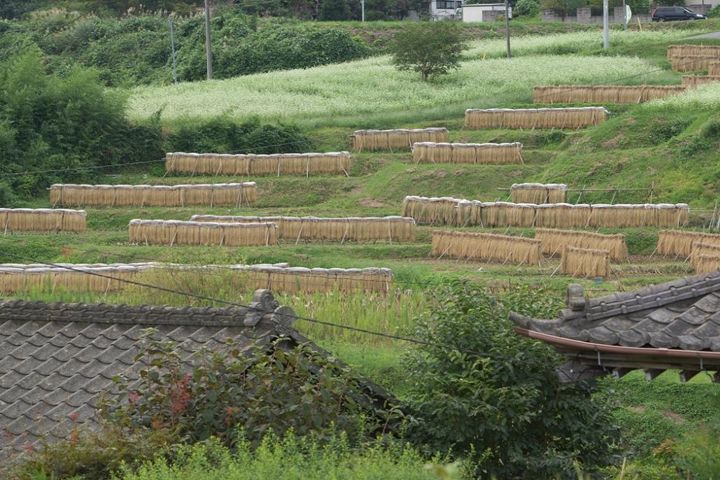 「袋田の滝」と周辺　スナップ　＜2＞_e0143883_1762194.jpg