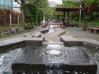 烏山川緑道 ～初夏2008編_c0105785_9201198.jpg