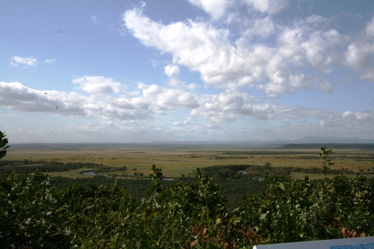 d0082288_11342834.jpg