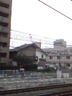 f0130693_2338997.jpg