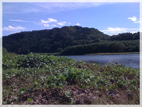 鬼怒川 & 那珂川 スモールマウスバス_c0171001_19573110.jpg