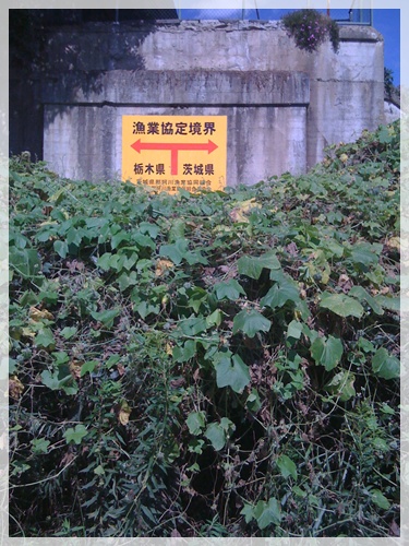 鬼怒川 & 那珂川 スモールマウスバス_c0171001_20271628.jpg