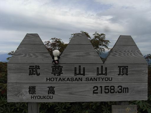 b0116703_21455661.jpg