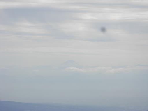 b0116703_214699.jpg