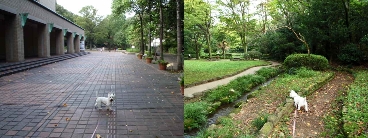 e0138005_21683.jpg