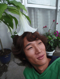 b0132710_0171688.gif