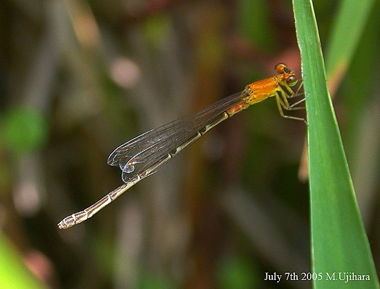 f0181821_10465529.jpg