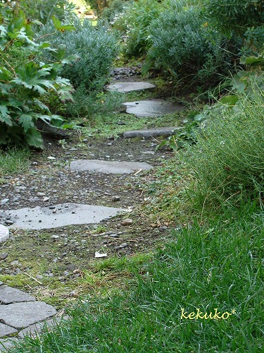 f0170524_10514046.jpg