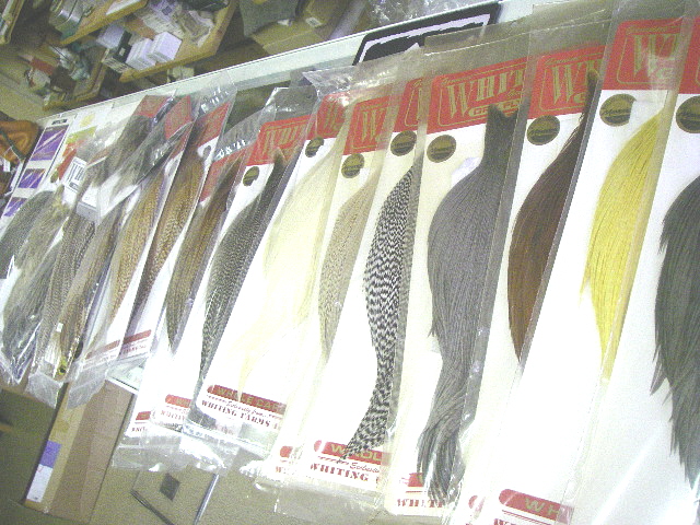 新入荷_e0029256_1319442.jpg