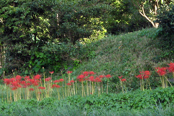 f0007956_18124422.jpg