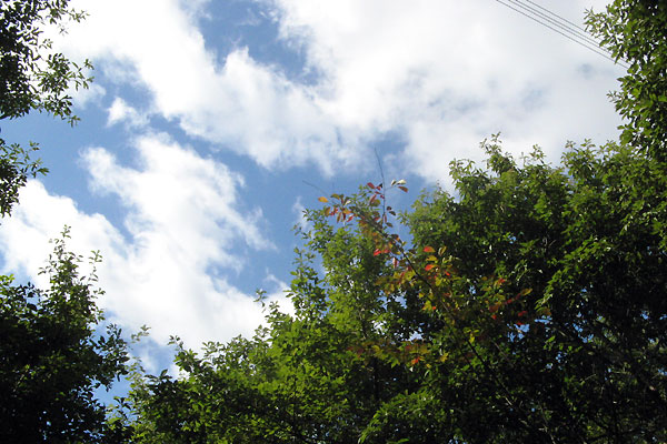 f0007956_181398.jpg